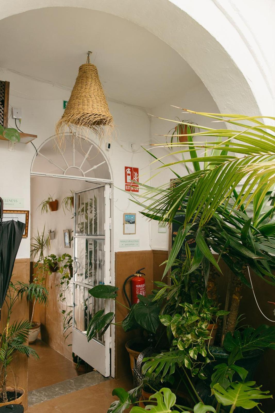 Hostal Africa Tarifa Exterior foto
